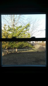 20150315_083238
