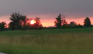 Evening sun