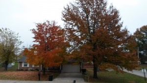 2015-11-04 07.13.44