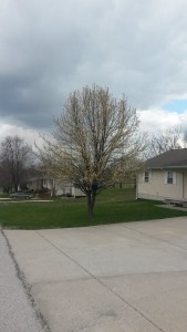 2016-03-19 12.09.23