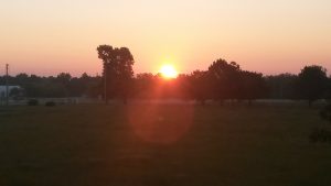 2016-06-13 05.53.58