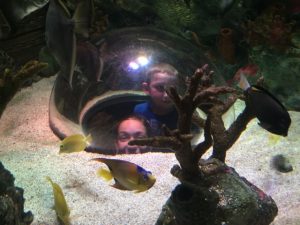 IMG_2567