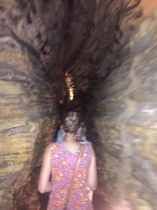 IMG_2597