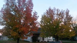 2016-10-31-18-13-11